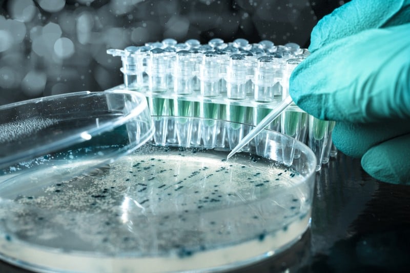 The Best Biotech Stocks under $5